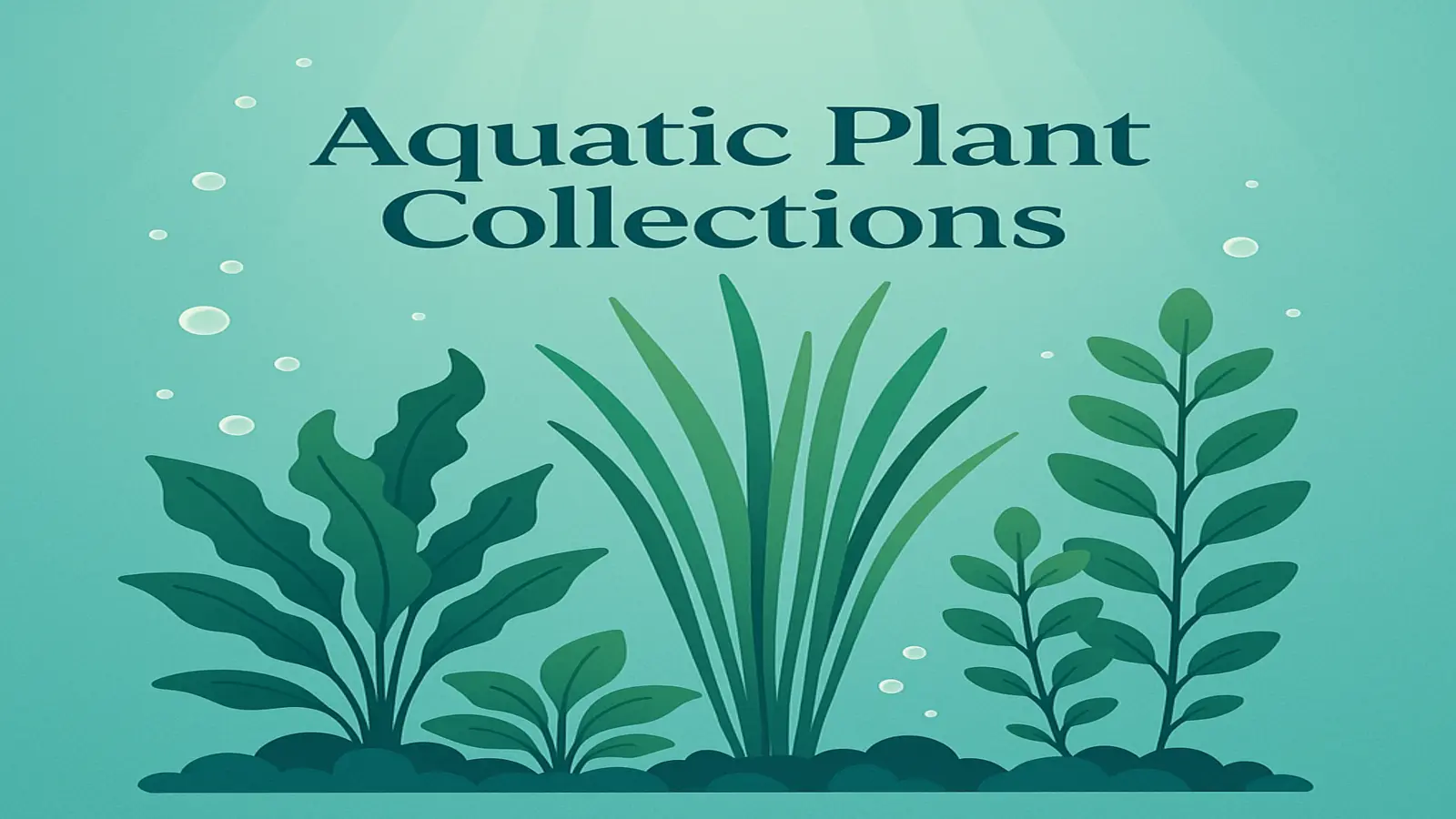 Dive Into Serenity: Discover ThePlantic’s Aquatic Plant Collection